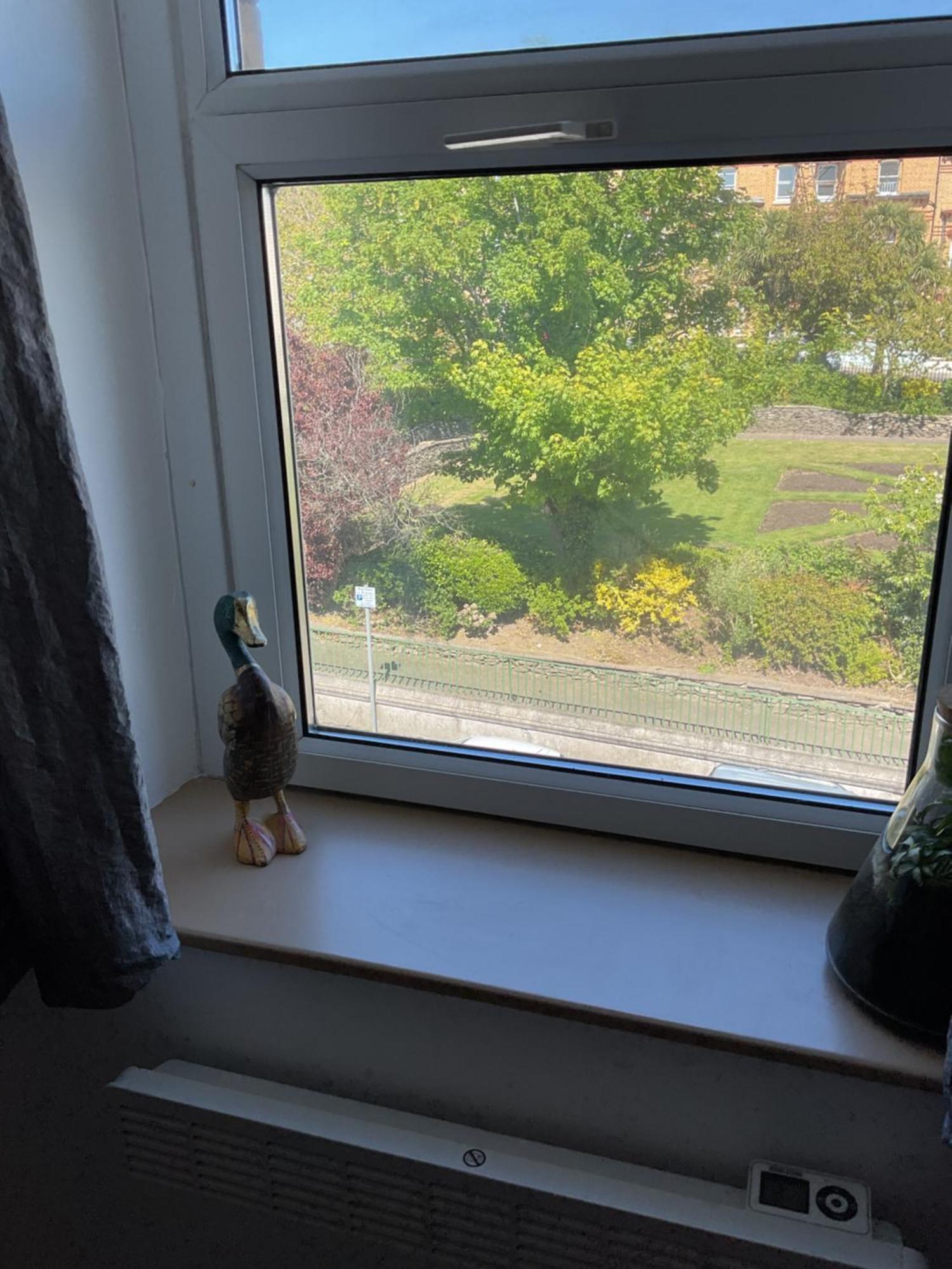The Hutchinson Apartments 더글러스 객실 사진